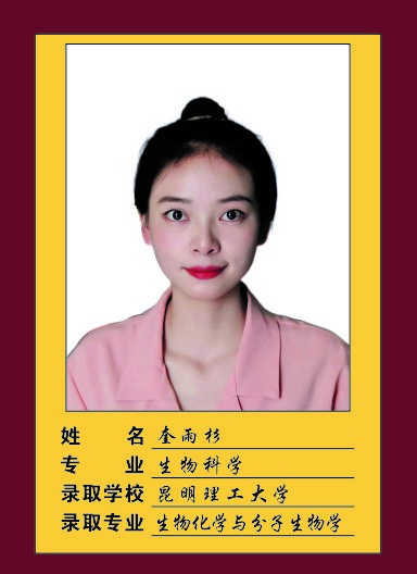 2023届-奎雨杉