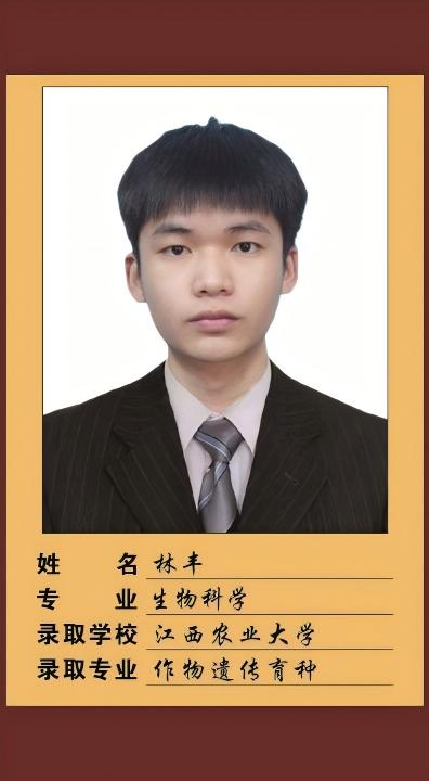 25届林丰