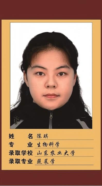 25届陈琪