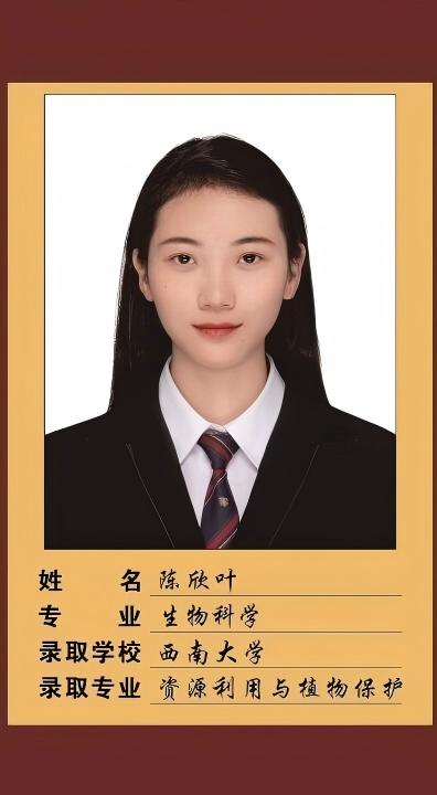 2025届陈欣叶