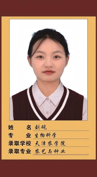 25届刘砚